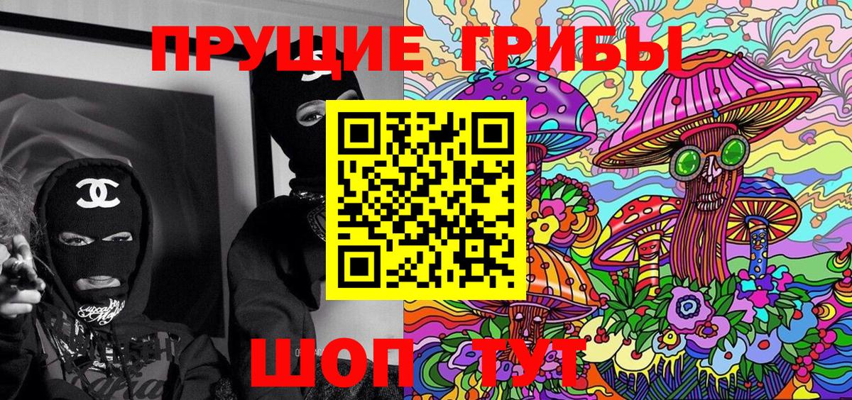 купить  цена  Галлюциногенные грибы Cubensis  Вход с VPN  Урай 